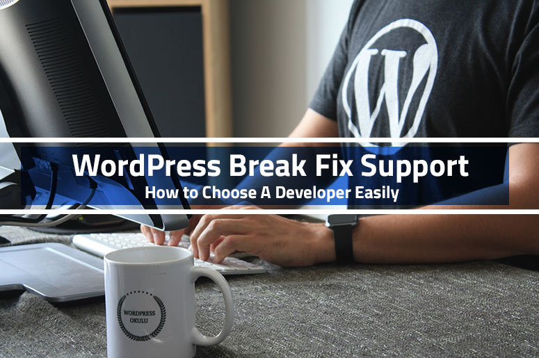 WordPress-break-fix-support